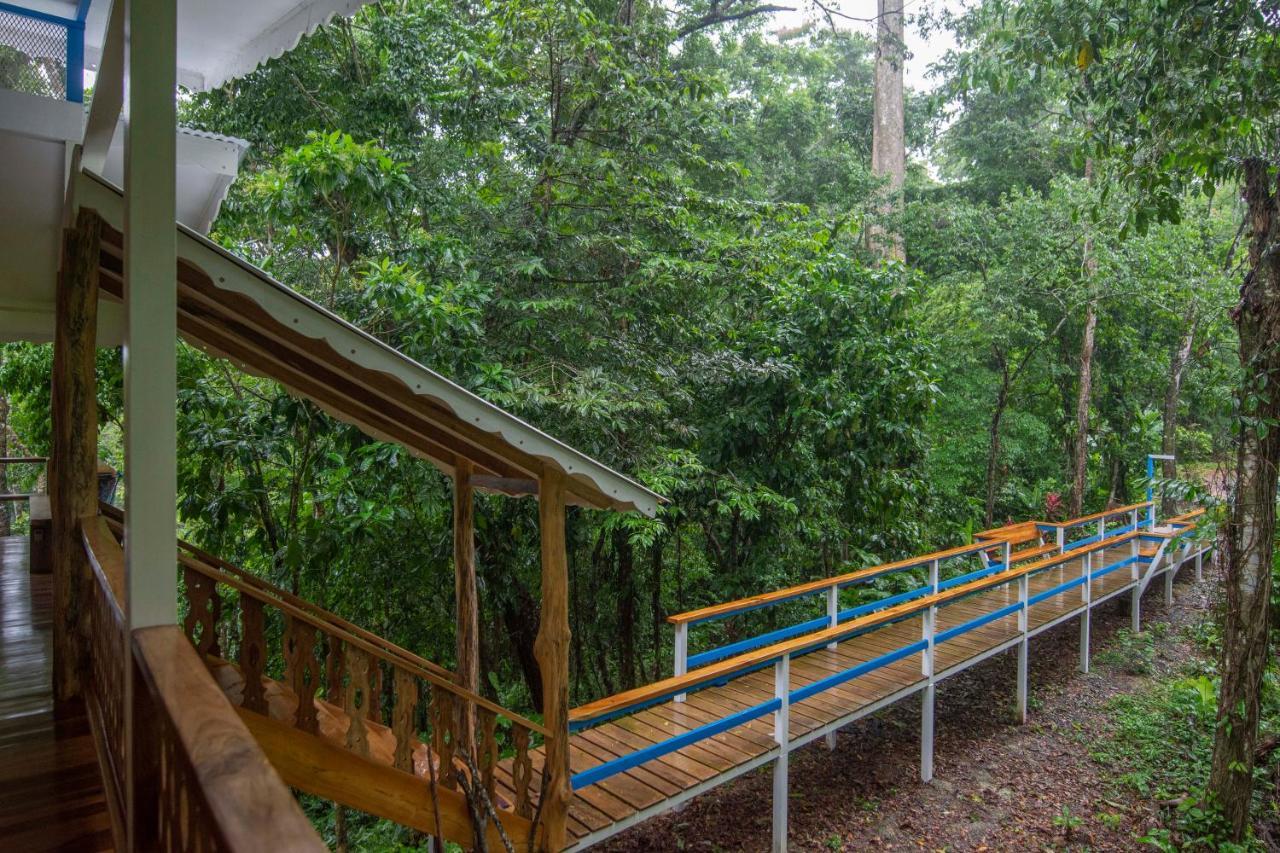 Blue Maverick Retreat - Secluded Nature Escape - 4Wd Access Required コクレス エクステリア 写真